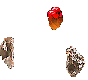 114246.gif