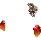 114252.gif