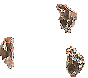114242.gif
