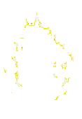 114259.gif