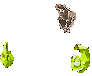 114255.gif